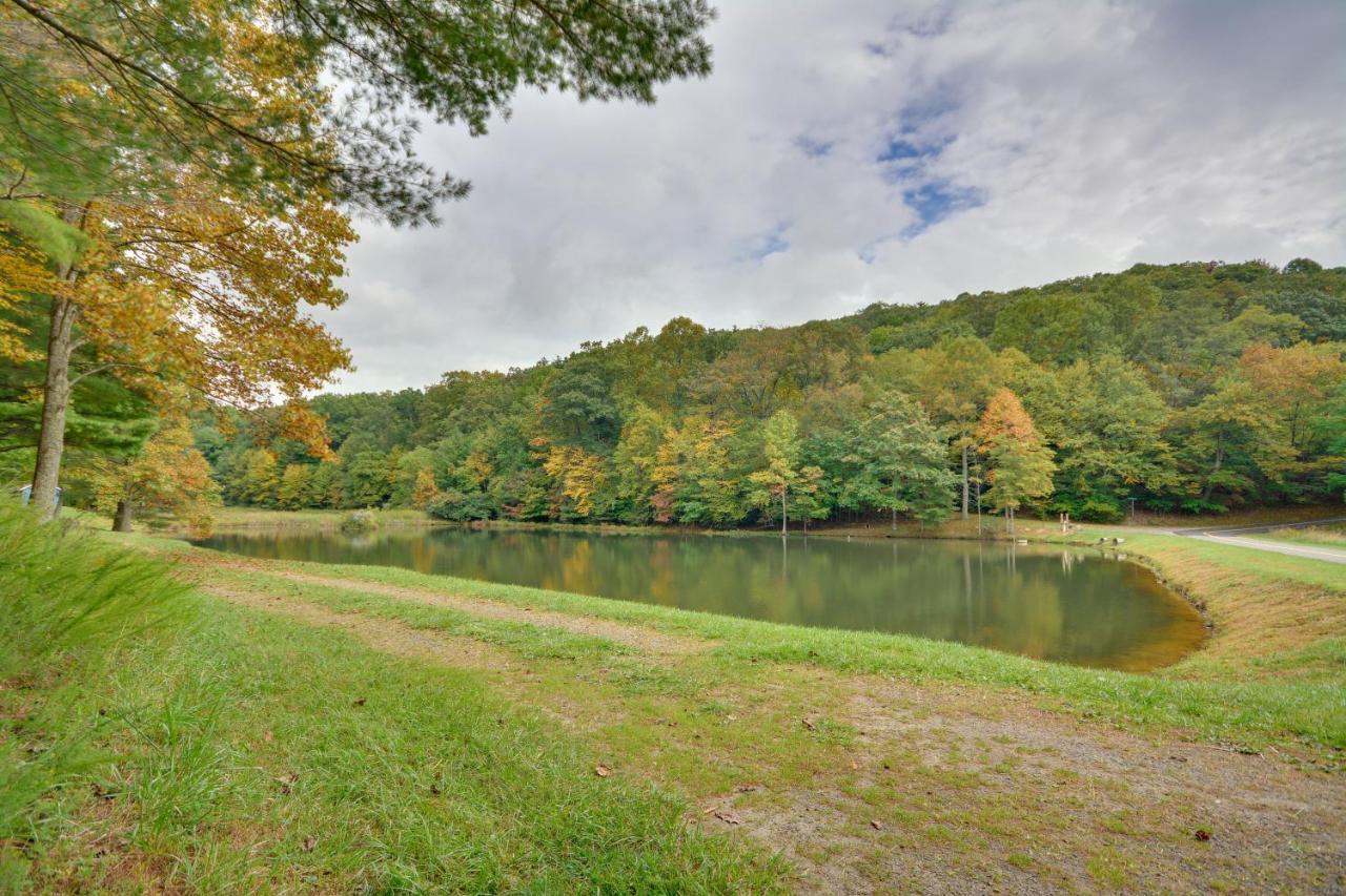 Serene Fancy Gap Cabin Retreat In Private Setting! المظهر الخارجي الصورة